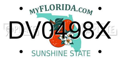 DV0498X Florida License Plate