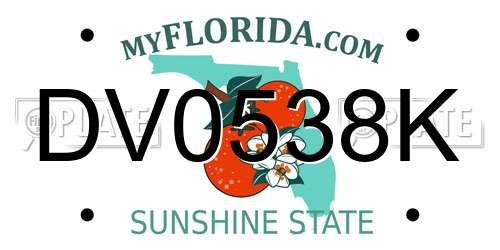 DV0538K Florida License Plate