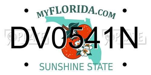 DV0541N Florida License Plate