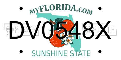 DV0548X Florida License Plate