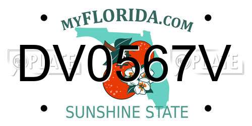 DV0567V Florida License Plate