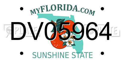 DV05964 Florida License Plate