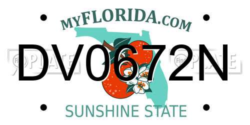 DV0672N Florida License Plate