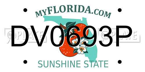 DV0693P Florida License Plate
