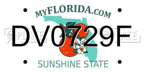 DV0729F Florida License Plate
