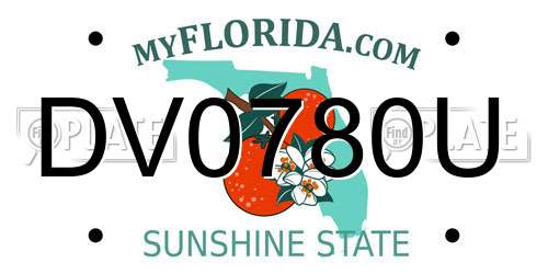 DV0780U Florida License Plate