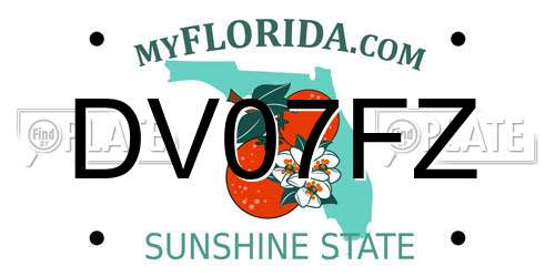 DV07FZ Florida License Plate