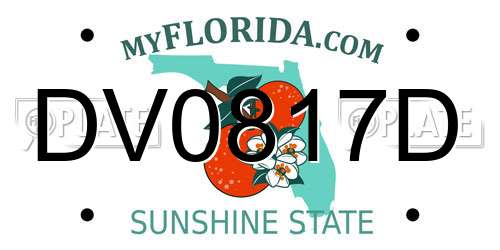 DV0817D Florida License Plate