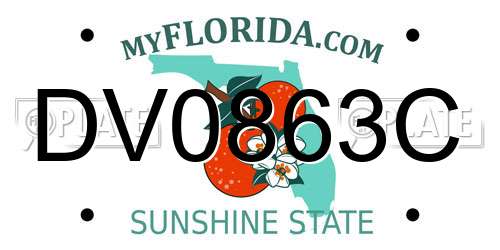 DV0863C Florida License Plate