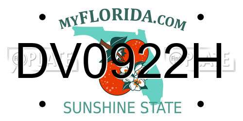 DV0922H Florida License Plate