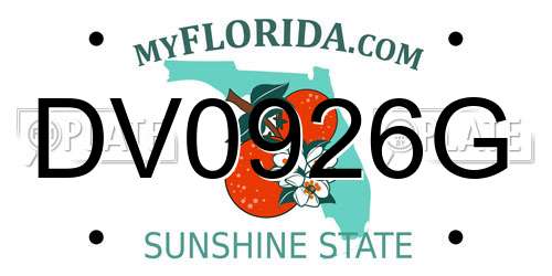 DV0926G Florida License Plate