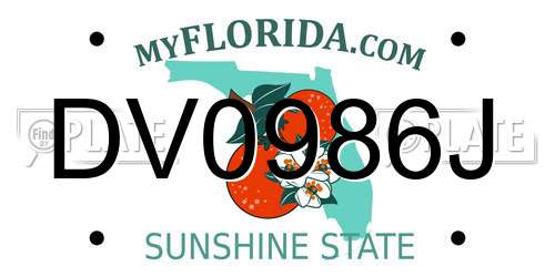 DV0986J Florida License Plate