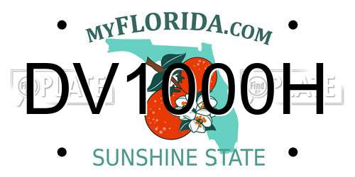 DV1000H Florida License Plate
