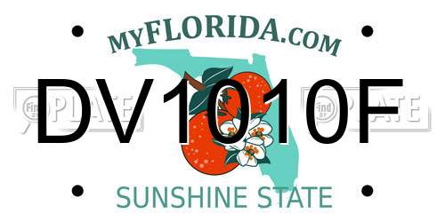 DV1010F Florida License Plate