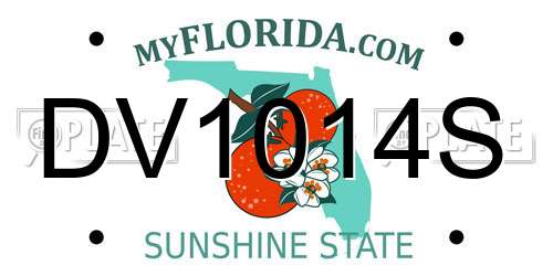 DV1014S Florida License Plate