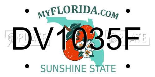 DV1035F Florida License Plate