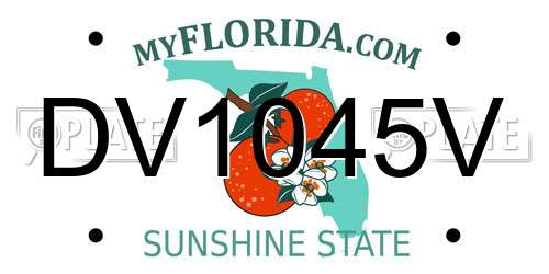 DV1045V Florida License Plate