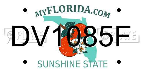DV1085F Florida License Plate