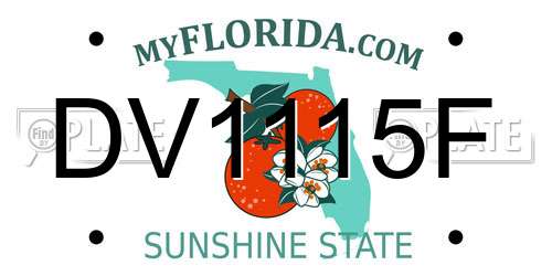 DV1115F Florida License Plate