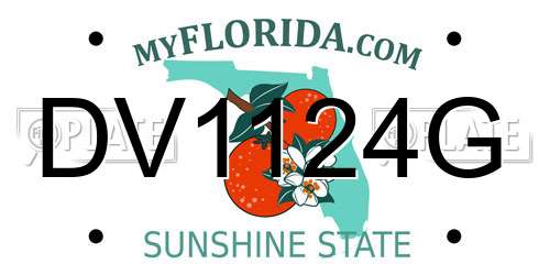 DV1124G Florida License Plate