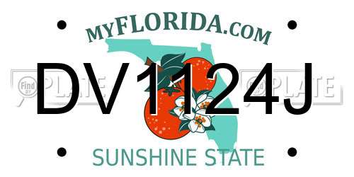 DV1124J Florida License Plate