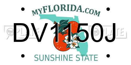 DV1150J Florida License Plate