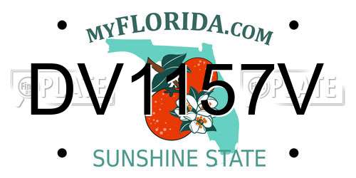 DV1157V Florida License Plate