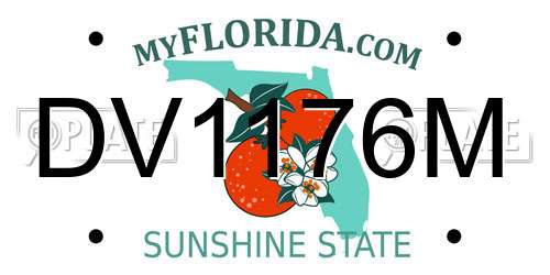 DV1176M Florida License Plate