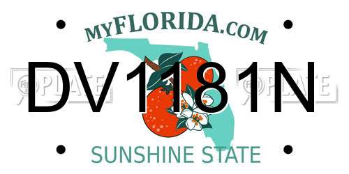 DV1181N Florida License Plate
