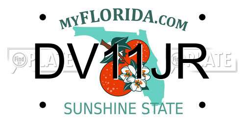 DV11JR Florida License Plate