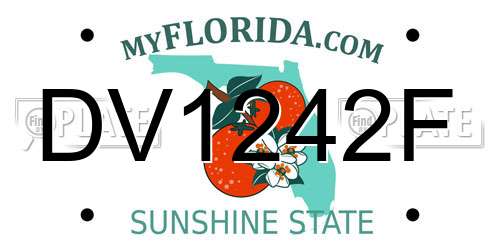 DV1242F Florida License Plate