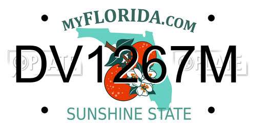 DV1267M Florida License Plate