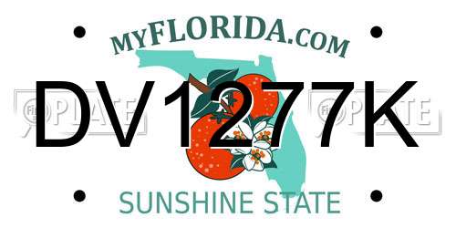 DV1277K Florida License Plate