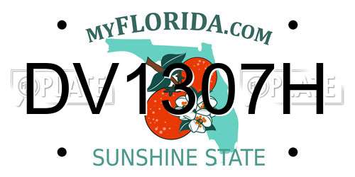 DV1307H Florida License Plate