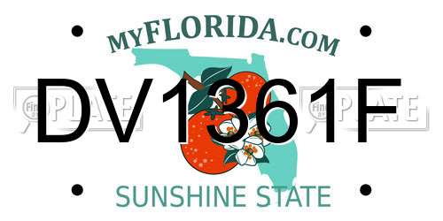 DV1361F Florida License Plate