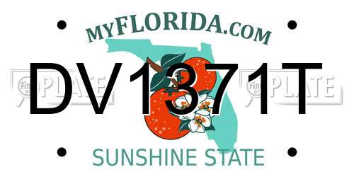DV1371T Florida License Plate