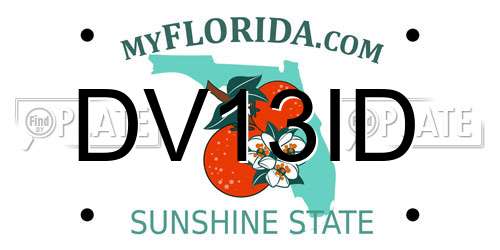 DV13ID Florida License Plate