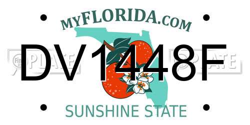 DV1448F Florida License Plate
