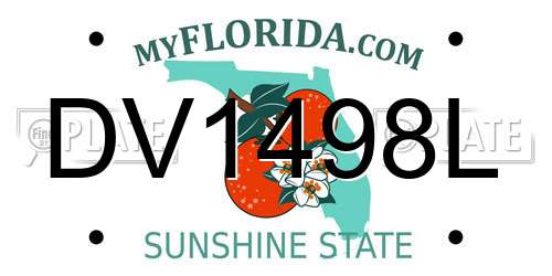 DV1498L Florida License Plate