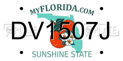 DV1507J Florida License Plate