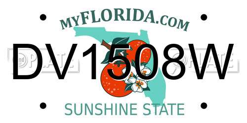 DV1508W Florida License Plate