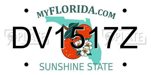 DV1517Z Florida License Plate