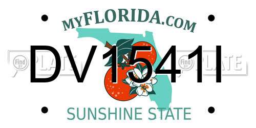 DV1541I Florida License Plate