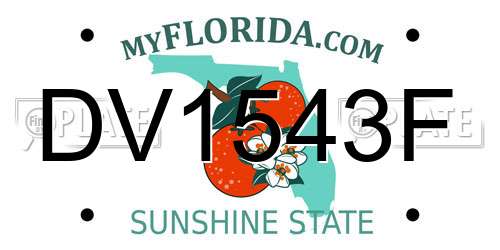 DV1543F Florida License Plate