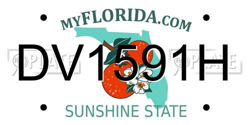 DV1591H Florida License Plate