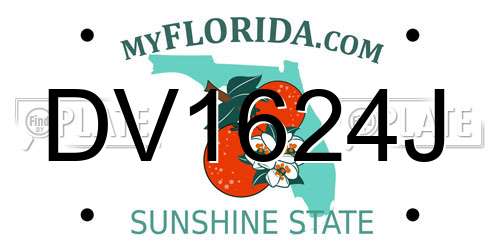 DV1624J Florida License Plate