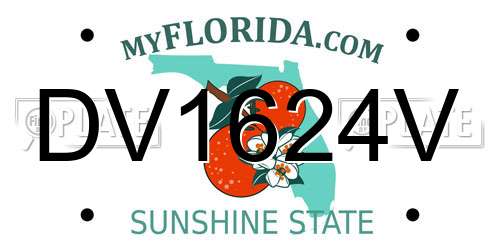 DV1624V Florida License Plate