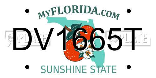 DV1665T Florida License Plate