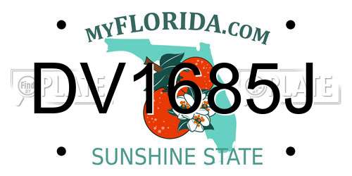 DV1685J Florida License Plate