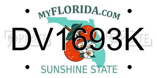 DV1693K Florida License Plate